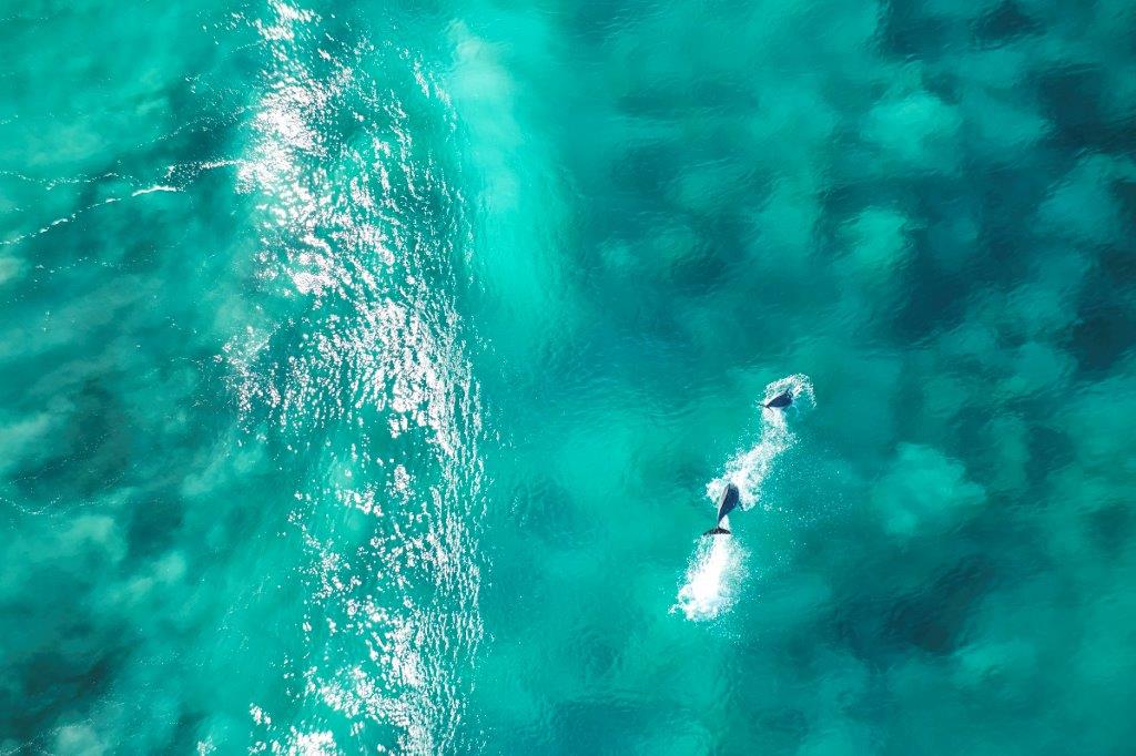 175 20161122 MOSS WOOD Aerials