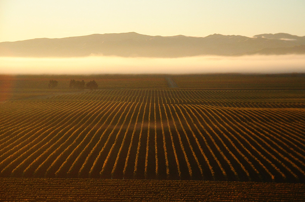 Panoramic Brookby Ridge