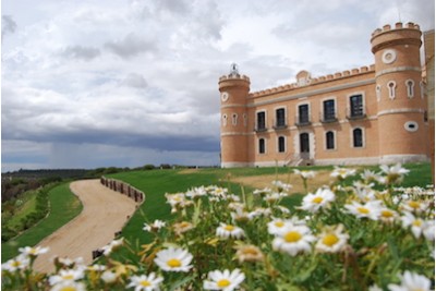Monte La Reina, Toro, Spain